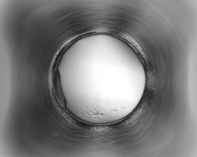 X0000093530939200711021308