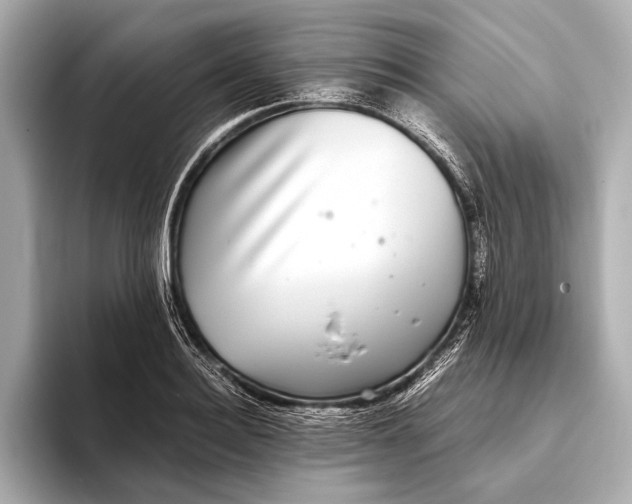 X0000093530940200711021308