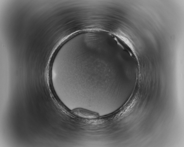 X0000093530941200711021308