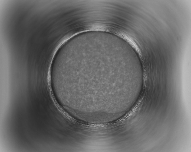 X0000093530944200711021308