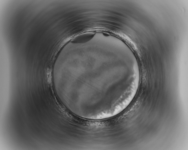 X0000093530945200711021308