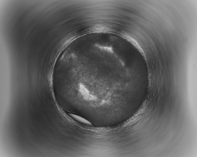 X0000093530946200711021308