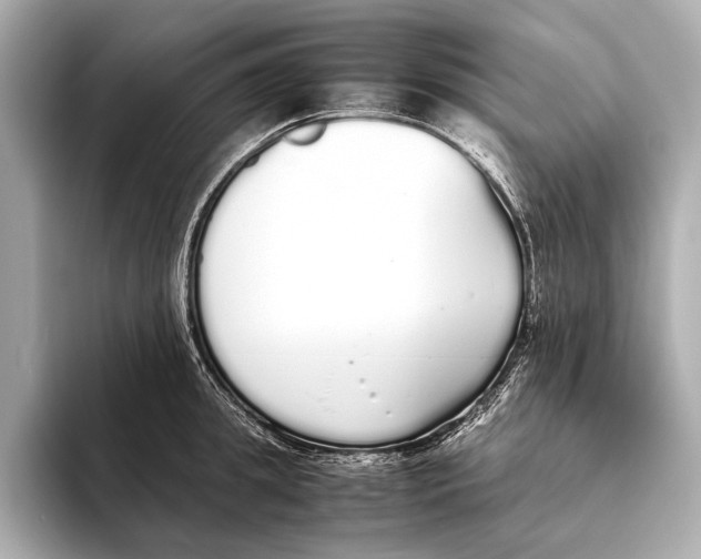 X0000093530949200711021308