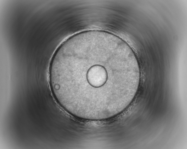 X0000093530950200711021308