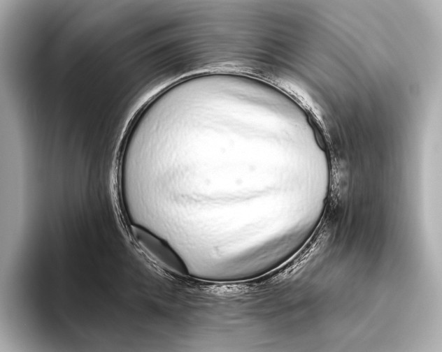 X0000093530952200711021308