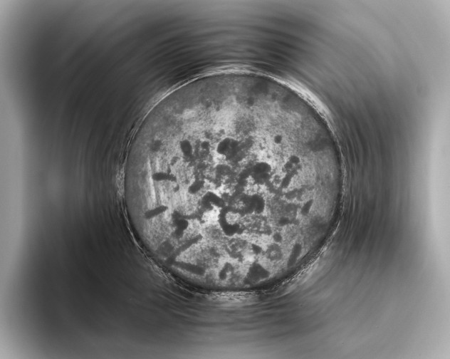 X0000093530953200711021308