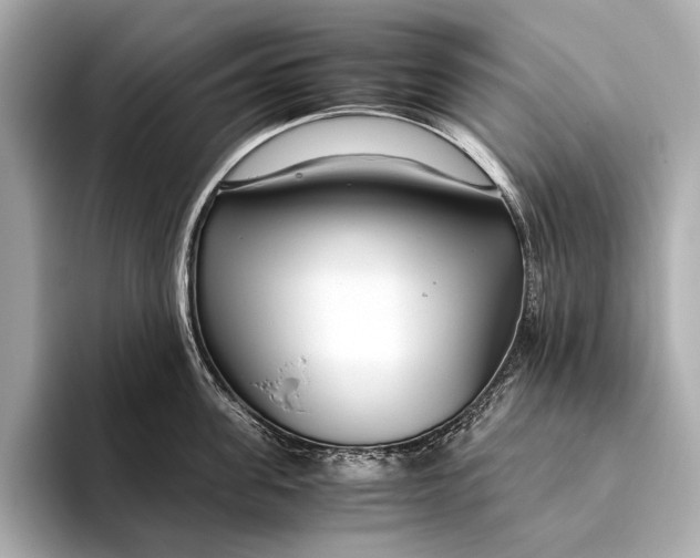 X0000093530955200711021308