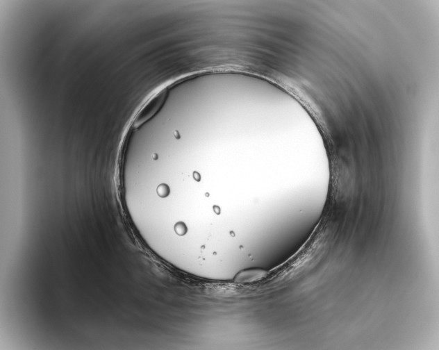 X0000093530956200711021308