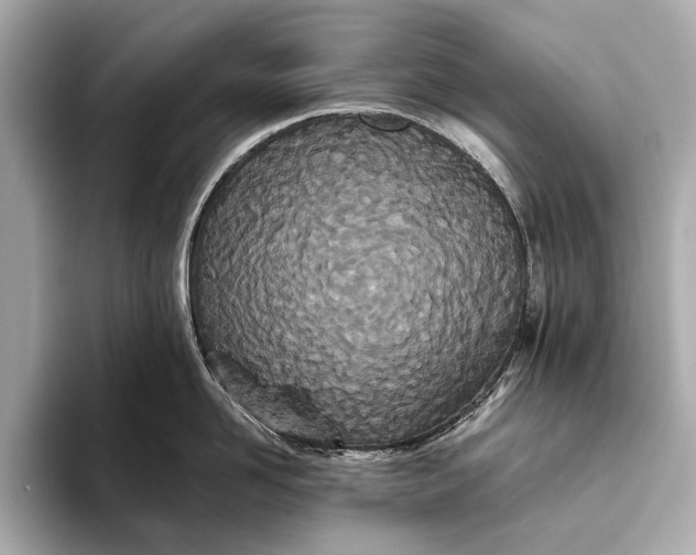 X0000093530958200711021308