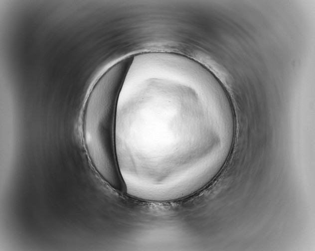 X0000093530960200711021308