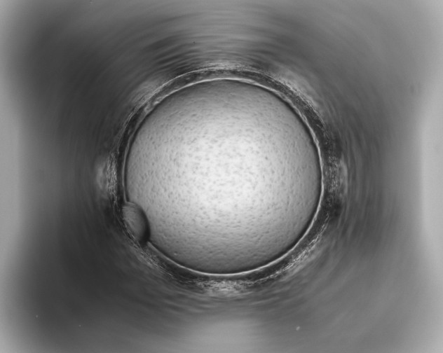 X0000093530969200711021307