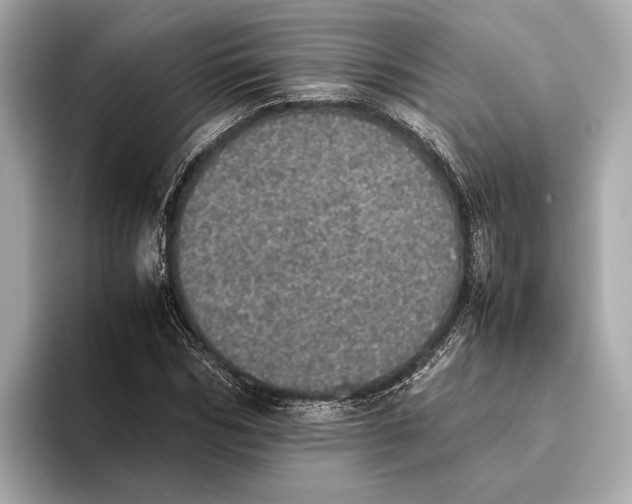 X0000093530970200711021307