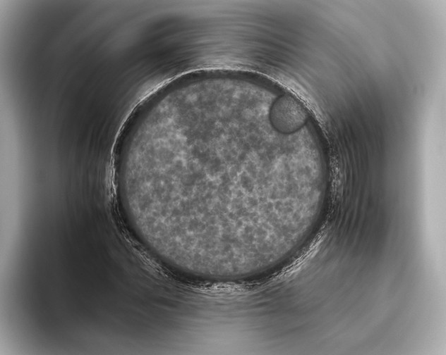 X0000093530974200711021307