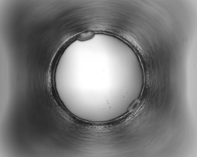 X0000093530976200711021307