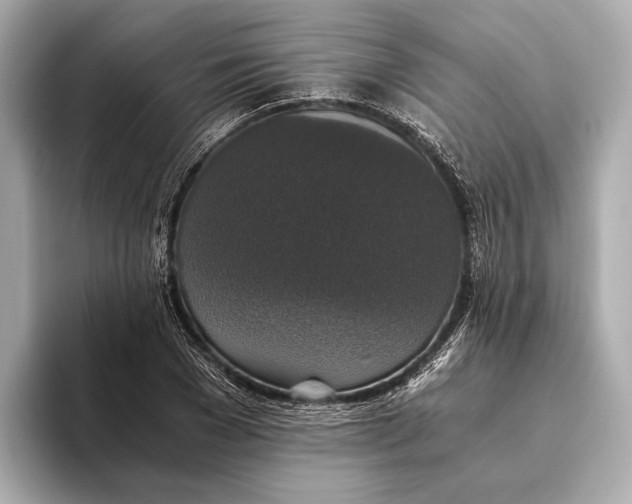 X0000093530977200711021307