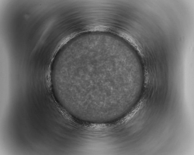 X0000093530978200711021307