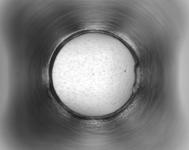 X0000093530980200711021307