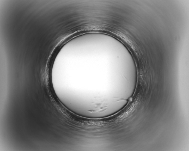 X0000093530981200711021307