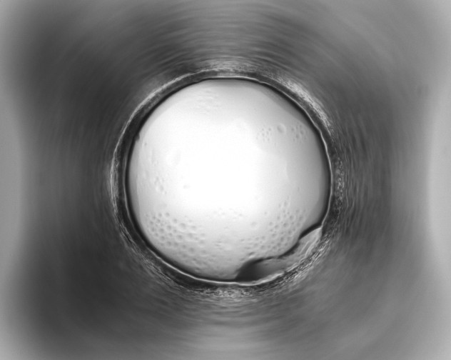 X0000093530983200711021307