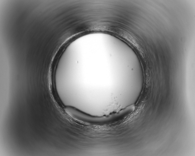 X0000093530984200711021307