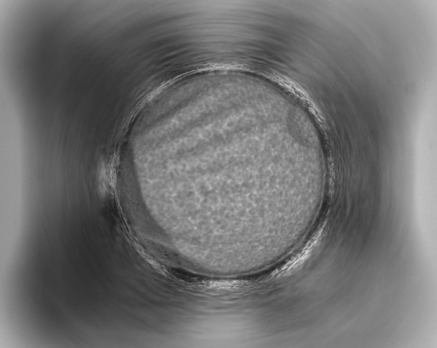 X0000093530985200711021307