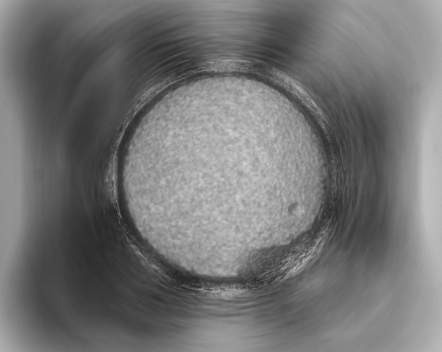 X0000093530986200711021307