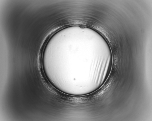 X0000093530987200711021307