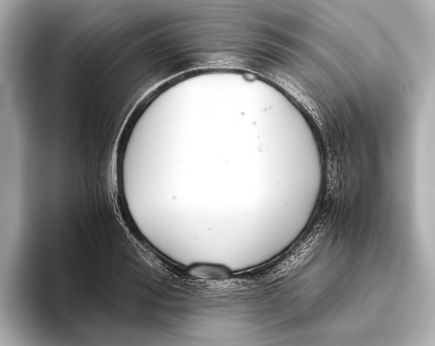 X0000093530988200711021307