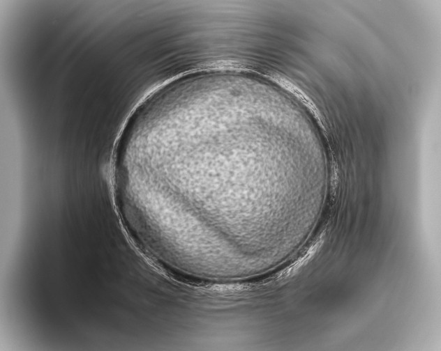 X0000093530989200711021307