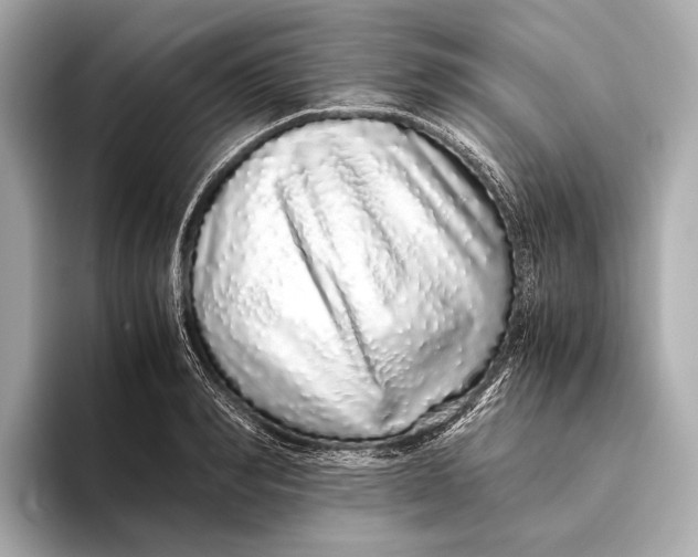 X0000093530990200711021307