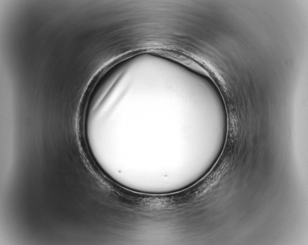 X0000093530991200711021307