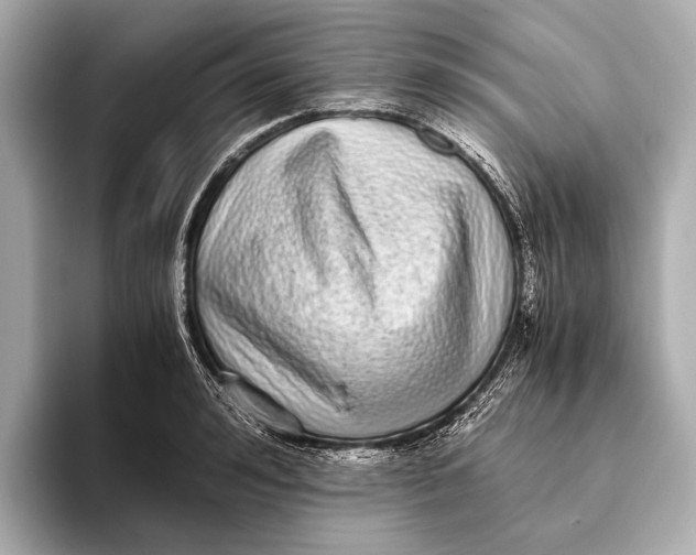 X0000093530992200711021307