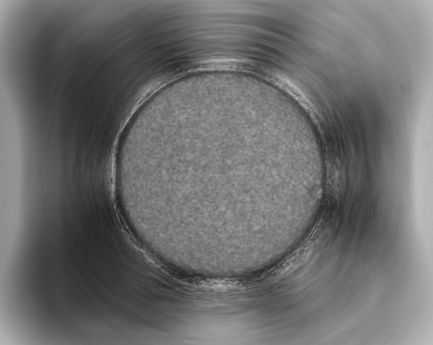 X0000093530994200711021307