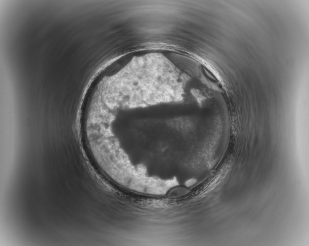 X0000093530995200711021307