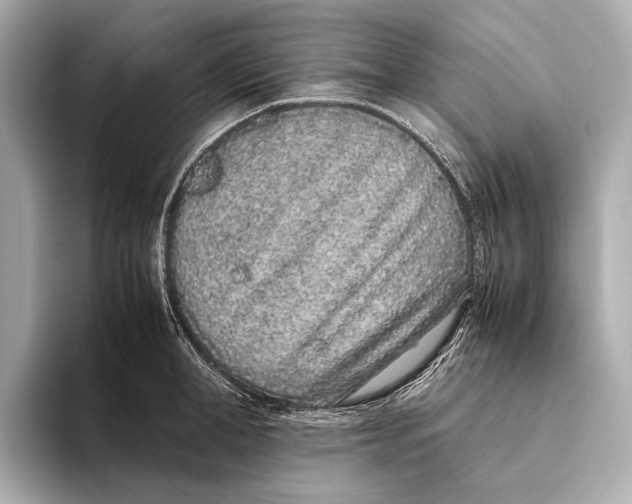 X0000093530998200711021307