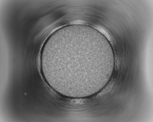 X0000093531000200711021307