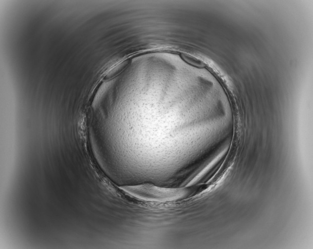 X0000093531001200711021307