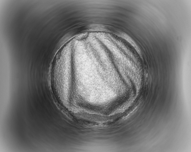 X0000093531002200711021307