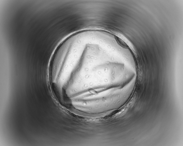 X0000093531004200711021307