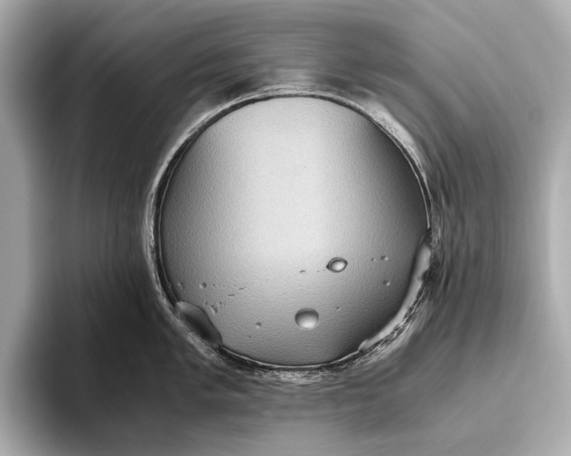 X0000093531005200711021307