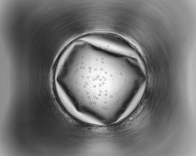 X0000093531006200711021307