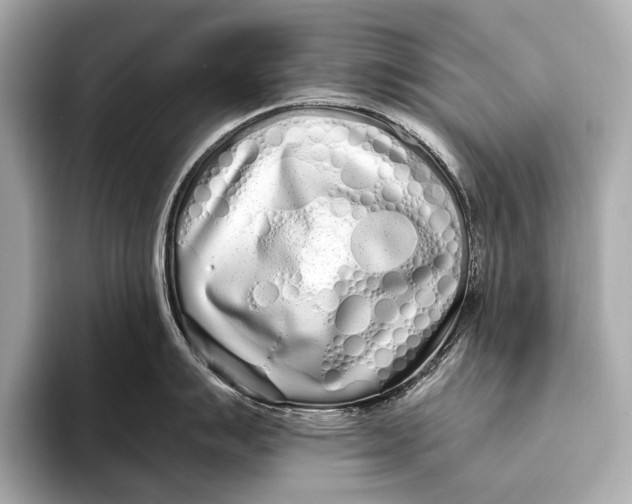 X0000093531007200711021307