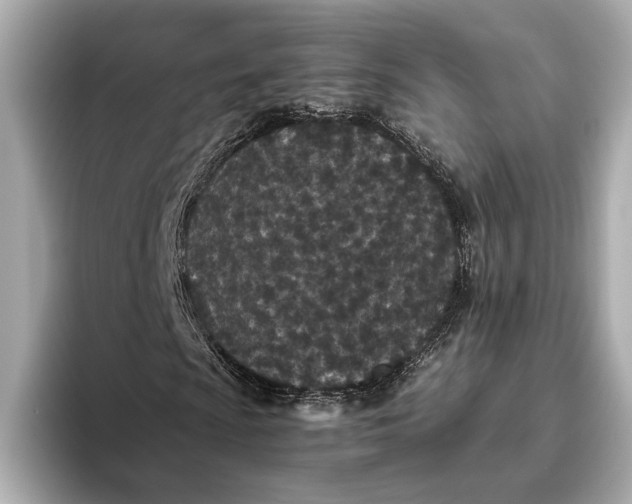 X0000093531009200711021306