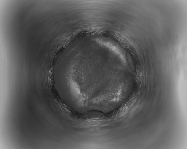 X0000093531010200711021306