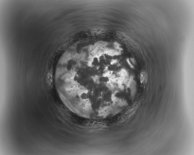 X0000093531011200711021306