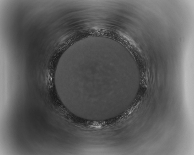 X0000093531013200711021306