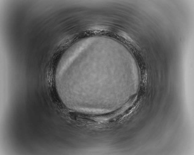 X0000093531014200711021306