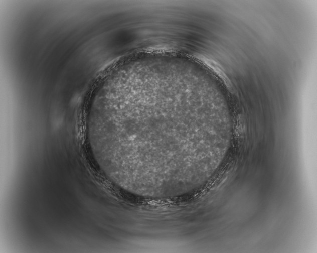 X0000093531015200711021306