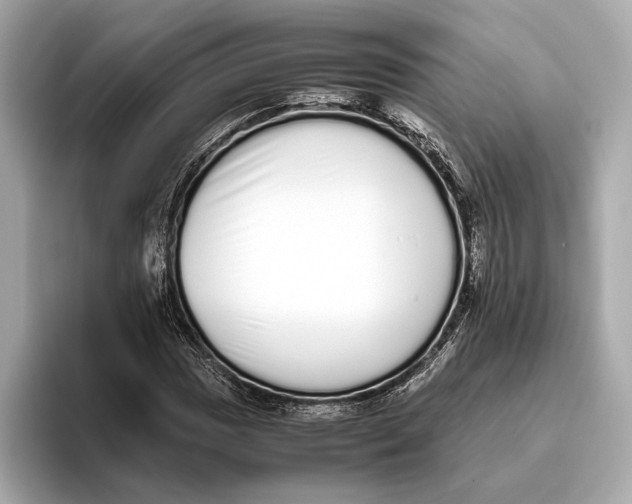 X0000093531017200711021307