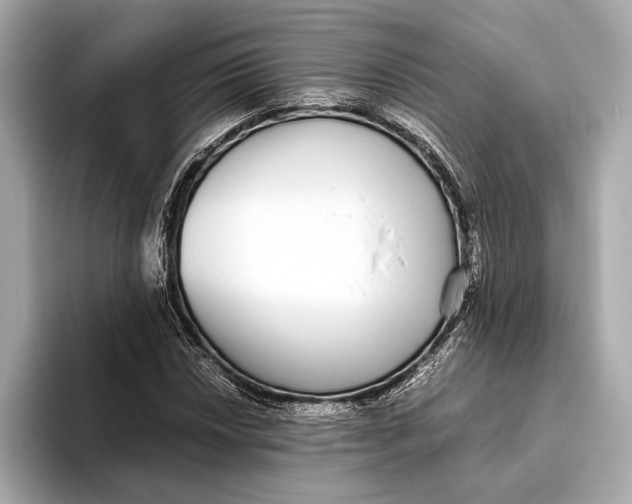 X0000093531018200711021307